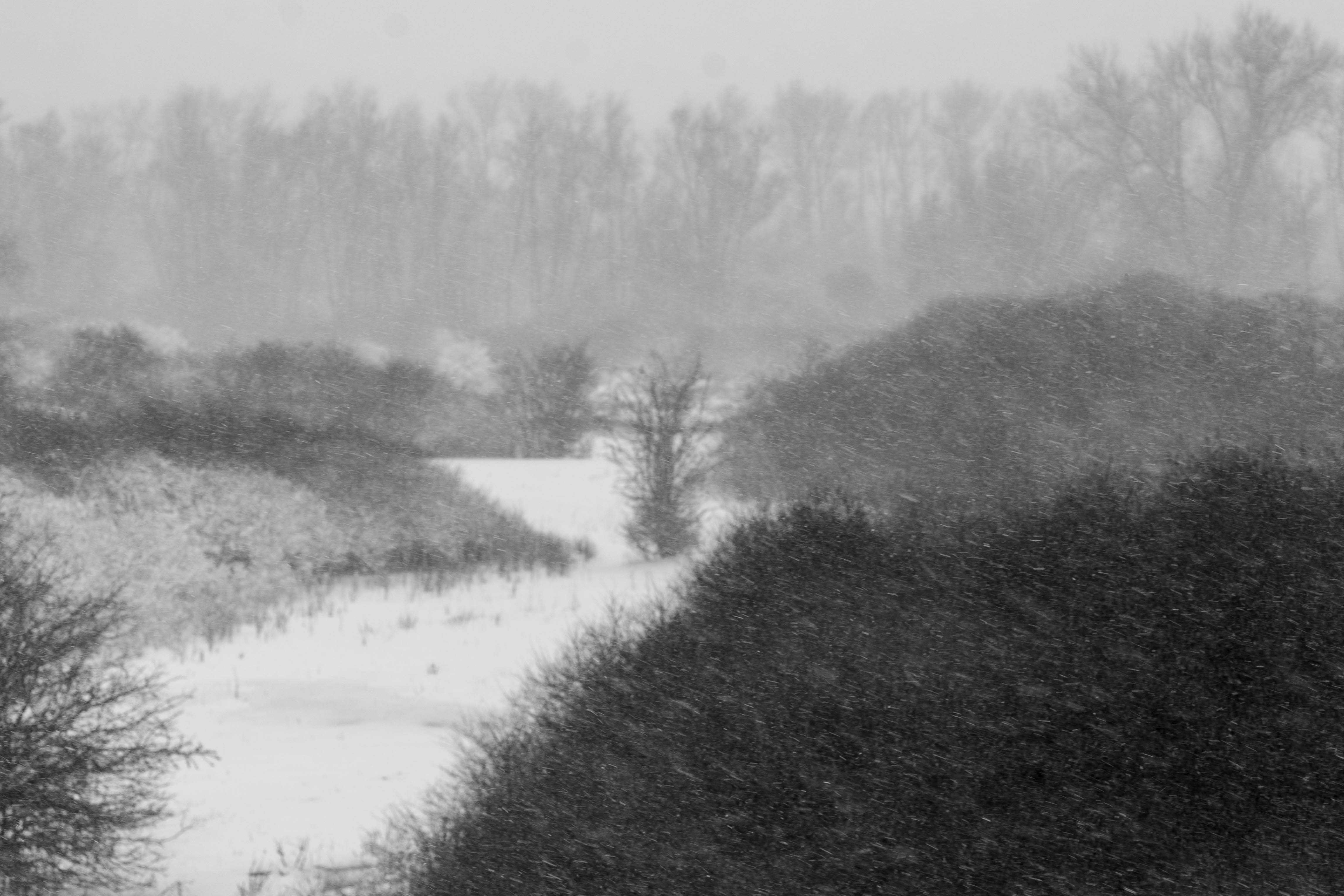 Nederland Ooijpolder